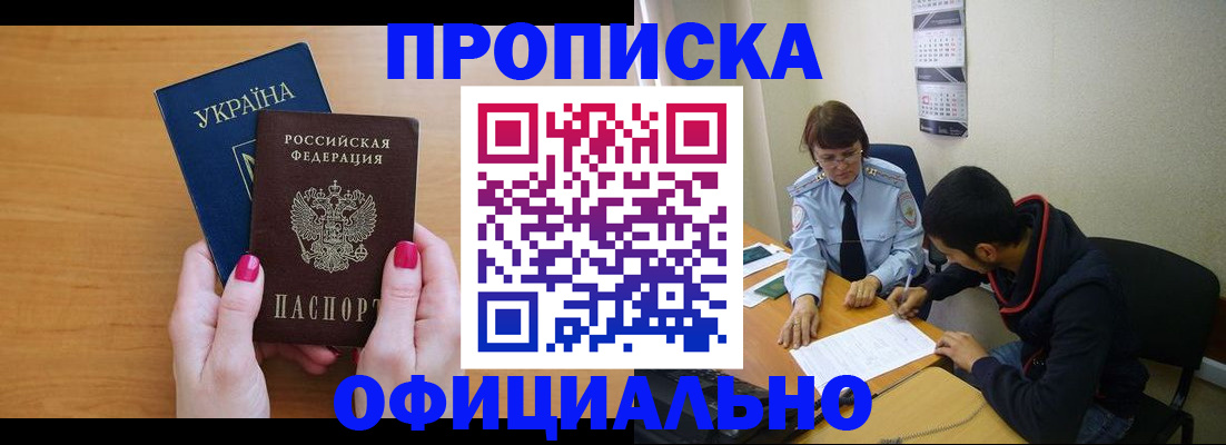 прописка в квартире в Щёлково
